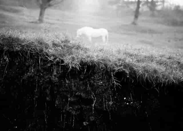Tasos Koutsiaftis, Romania, common routes, project, photography